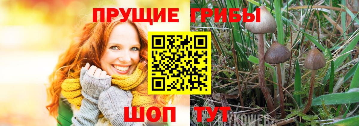 Псилоцибиновые грибы GOLDEN TEACHER  Псилоцибиновые грибы мицелий  Вход с VPN  Арзамас 