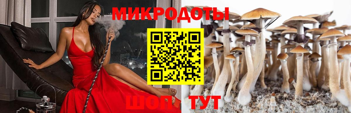 Галлюциногенные грибы ЛСД Арзамас